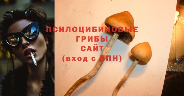 PSILOCYBIN Балахна