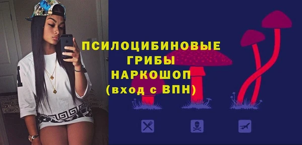 МДПВ Пестово