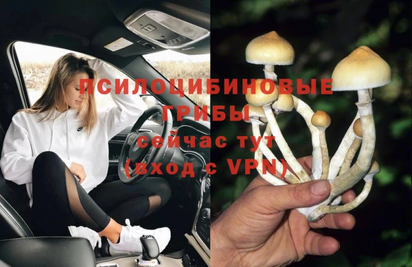 PSILOCYBIN Балахна