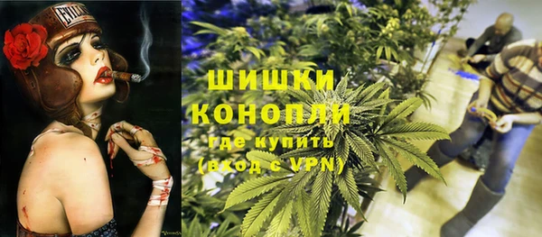 PSILOCYBIN Балахна