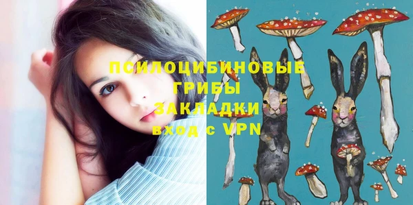 гидра Баксан